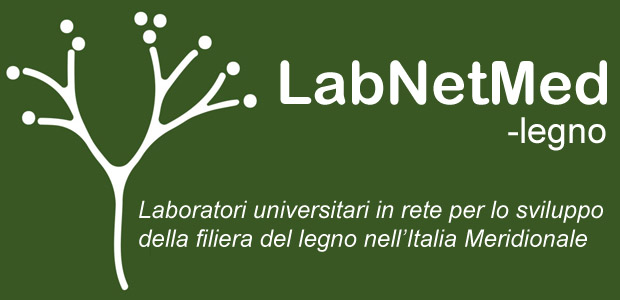LabNetMed
